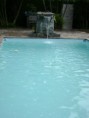 /album/casa-com-piscina-ecologica-canto-forte-/dsc00816-jpg/