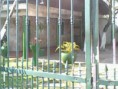 /album/fotos/img0071a-jpg/